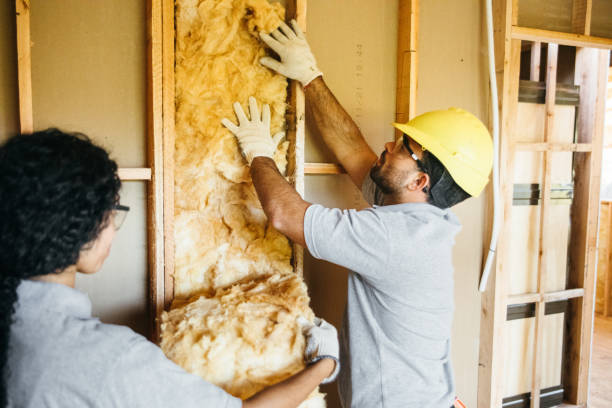 Best Batt and Roll Insulation  in North Newton, KS